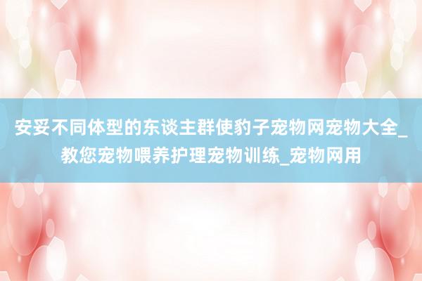 安妥不同体型的东谈主群使豹子宠物网宠物大全_教您宠物喂养护理宠物训练_宠物网用