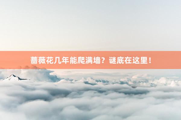蔷薇花几年能爬满墙？谜底在这里！
