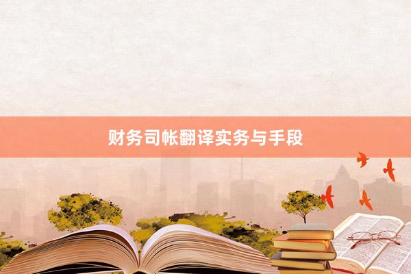 财务司帐翻译实务与手段